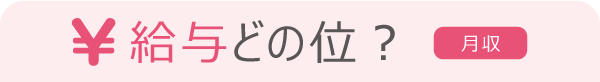 給与どの位？（月収）