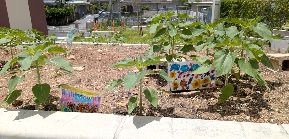 社会福祉法人 千草福祉会 画像