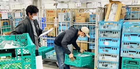 有限会社 サニー沖縄【野菜・果物仕分け・ピッキング】の求人募集画像