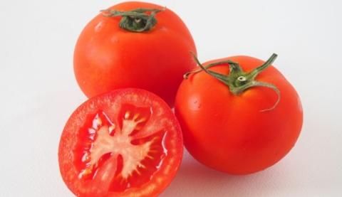 株式会社YST企画【短期ミニトマト・トマトの袋詰め(豊見城市)【1月~5月までの短期/履歴書不要/学生可】】の求人募集画像